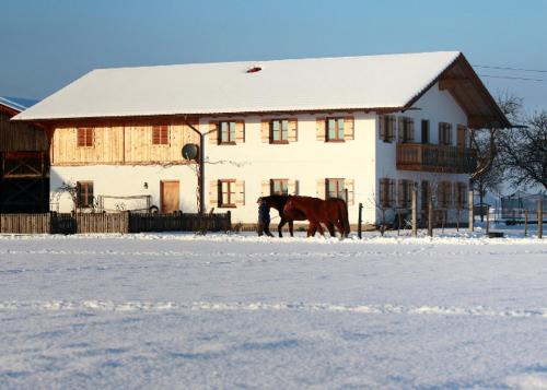 Springerhof Schechen allemagne