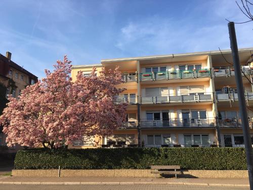 Stadtferienwohnung Müllheim allemagne