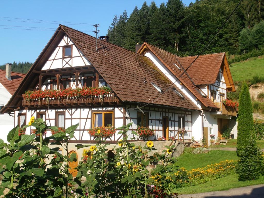 Appartements Steinhof 16 Wäldenstraße, 77704 Oberkirch