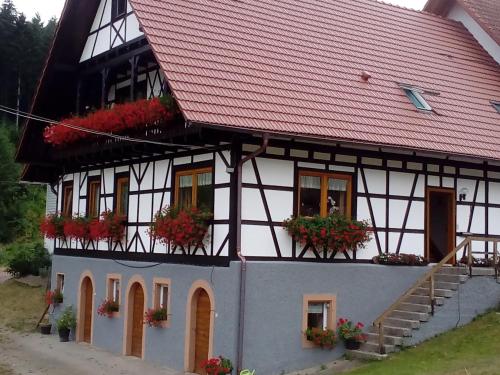 Appartements Steinhof 16 Wäldenstraße Oberkirch
