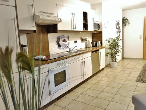 Sterne-Ferienwohnung-Apartment Regnitztal Buttenheim allemagne