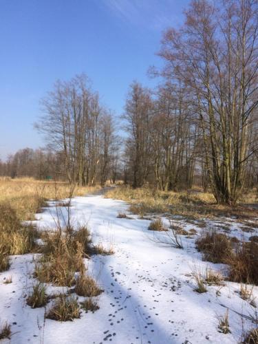 Storchenblick Schlepzig allemagne