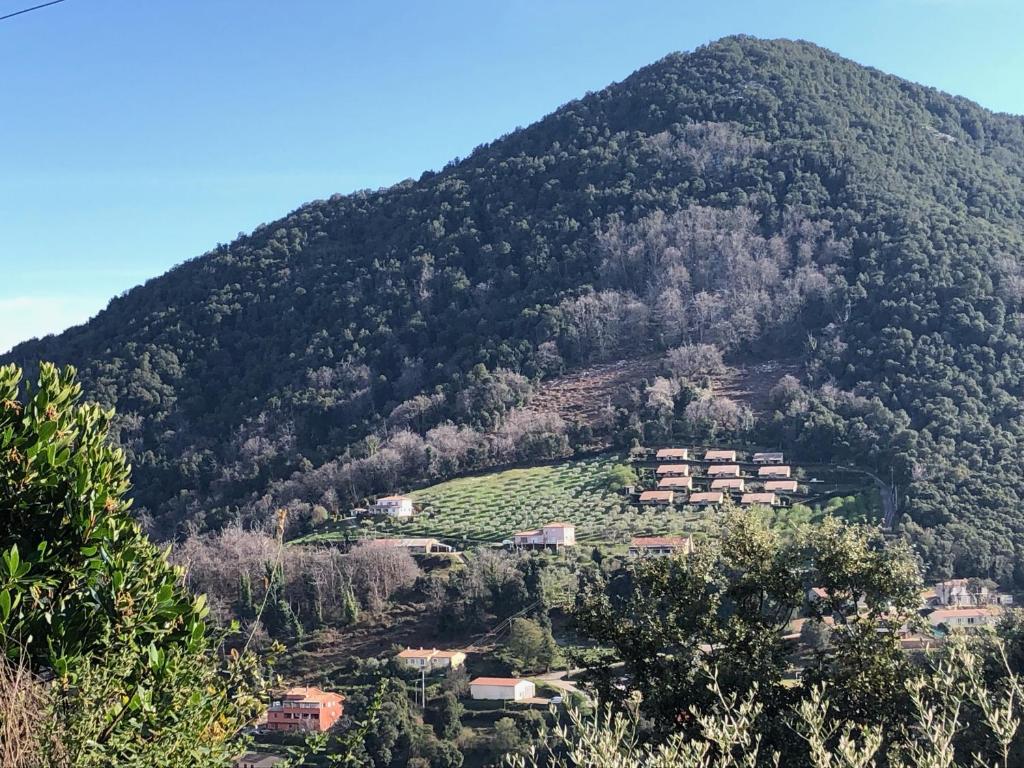 Appartements Strada di a cuma Route du Stade, 20160 Vico