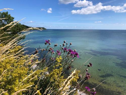 Appartement Strandapartment Meeresrauschen Prora Binz EG Südstrand 305 Binz