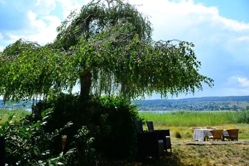 Appartements Strandbungalow Reichenau Im Streichen Île de Reichenau
