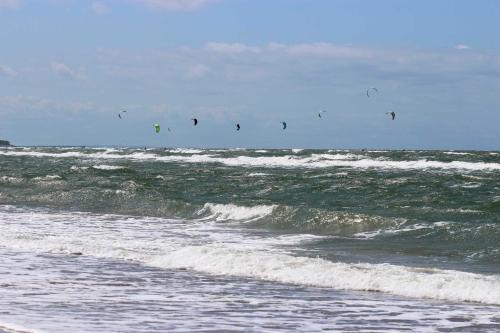 STRANDFLIEDER App Nr 05 max 3 Pers Dierhagen allemagne