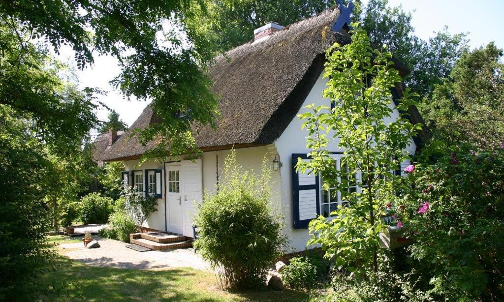 Maison de vacances Strandhaus Edmund-Kesting-Weg  2, 18347 Ahrenshoop