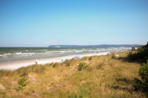 Appartement Strandresidenz Appartement Haubentaucher G22 Südstrand 305 Binz