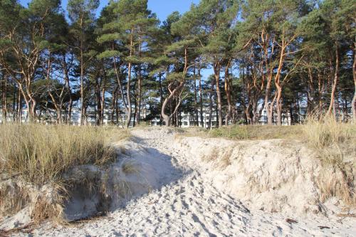 Strandresidenz Appartement Haubentaucher G22 Binz allemagne