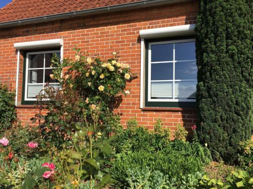 Strandwind holiday home with winter garden on the Baltic Sea Dannau allemagne