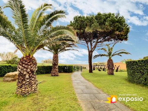 Studio 4 couchages piscine , plage , vue canigou Saint-Cyprien france