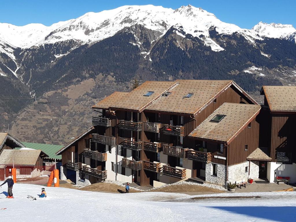 Appartement Studio 442 au pied des pistes La Plagne Résidence les Choucas Route de Montalbert, 73210 Aime-La-Plagne