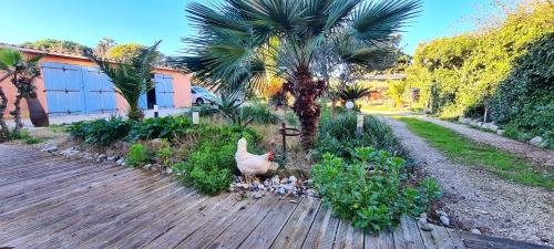 Studio a Hyeres a 50 m de la plage avec jardin clos et wifi Hyères france