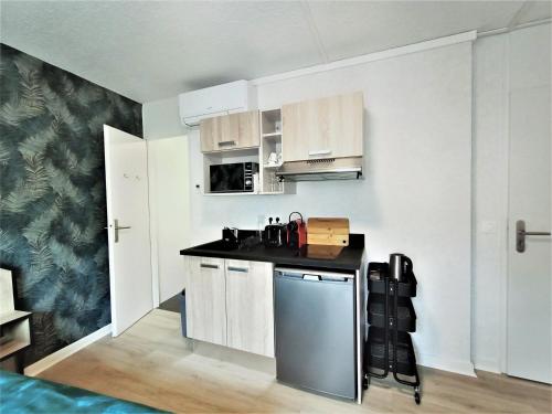 Appartement Studio Aix-les-Bains, 1 pièce, 1 personne - FR-1-555-55 198 rue de Genève Aix-les-Bains