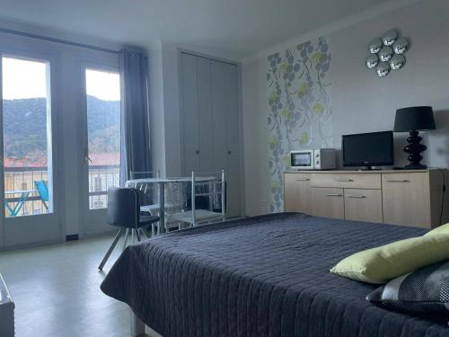 Appartement Studio Amélie-les-Bains-Palalda, 1 pièce, 2 personnes - FR-1-659-14 Résidence des thermes C1, appart n°85, 3ème étage Amélie-les-Bains-Palalda