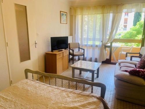 Studio Amélie-les-Bains-Palalda, 1 pièce, 2 personnes - FR-1-703-128 Amélie-les-Bains-Palalda france