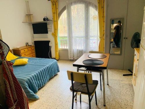 Studio Amélie-les-Bains-Palalda, 1 pièce, 2 personnes - FR-1-703-19 Amélie-les-Bains-Palalda france