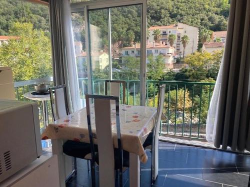 Appartement Studio Amélie-les-Bains-Palalda, 1 pièce, 2 personnes - FR-1-703-82 27 avenue du vieux pont Résidence El ribéral- 2ème étage N°3 Amélie-les-Bains-Palalda