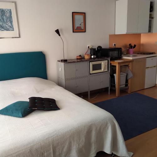 Appartement STUDIO au sud de Lyon à Oullins 20 Rue Berthelot Oullins