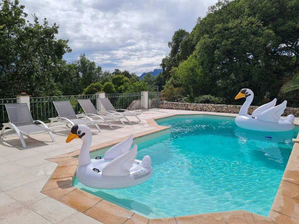 Appartement Studio avec piscine partagée et jardin 94 Allée des Mésanges, 83480 Puget-sur Argens