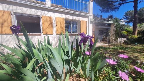 Studio avec piscine partagée et jardin Puget-sur Argens france