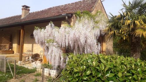 Appartement Studio avec terrasse et wifi a Simandre 188 Route de Saint-Vincent Bourgogne-Franche-Comté, Saône-et-Loire Simandre