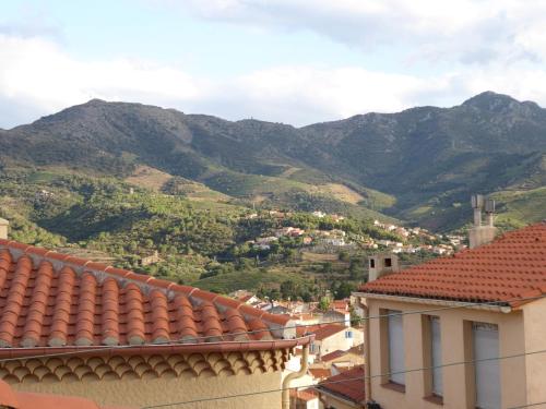 Appartement Studio Banyuls-sur-Mer, 1 pièce, 2 personnes - FR-1-309-323 Rue Carrer des Penyes blanques Résidence Albatros rez de chaussée Banyuls-sur-Mer