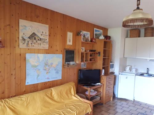 Studio belle vue sur les montagnes Le Grand-Bornand france