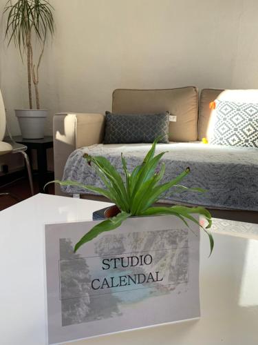 Studio Calendal Cassis france