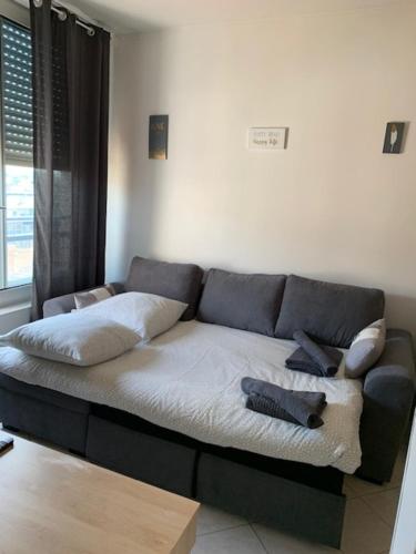 Appartement Studio CENTRE CROISETTE 17 Bis Rue BOUCICAUT Cannes