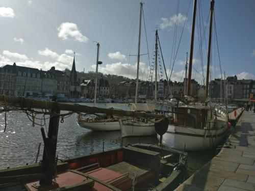 Appartement Studio centre historique Honfleur appartement rdc droit 9 Rue Lucie Delarue Mardrus Honfleur