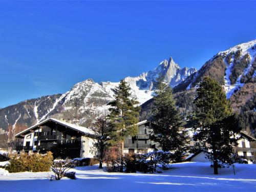 Appartement Studio Champraz-14  Chamonix-Mont-Blanc