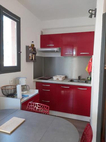 Studio classé 2 étoiles, terrasse 25m2 et garage Amélie-les-Bains-Palalda france