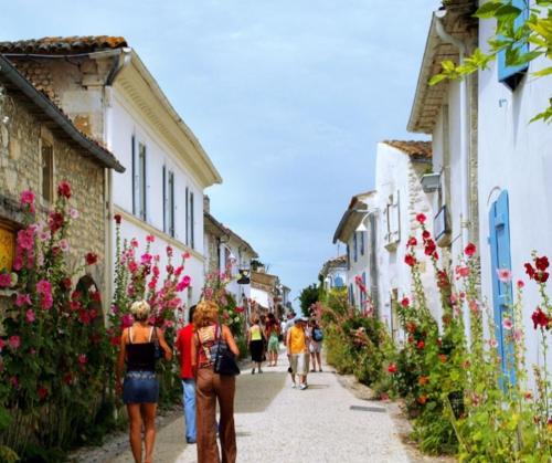 studio coconning Saint-Laurent-de-la-Prée france
