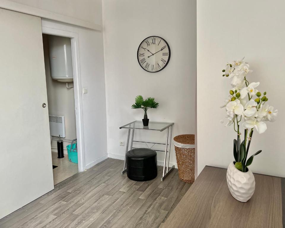 Appartement Studio Coeur de ville 20 Rue Elie Berthet, 87000 Limoges