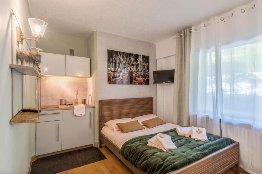 Appartement Studio cosy au pied des pistes 37 Chemin des Bios, 74400 Chamonix-Mont-Blanc