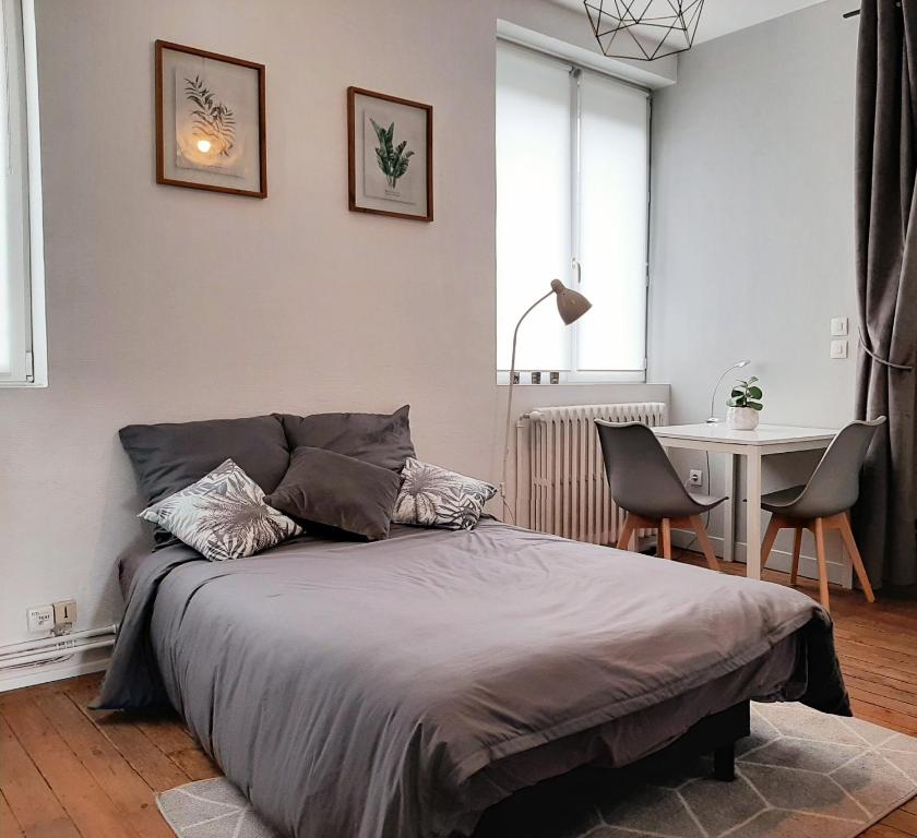 Appartement Studio Cosy proche CHR Lille apt1 étage 1 69 Rue Jules Ferry, 59139 Wattignies