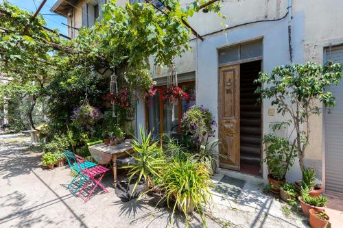 Appartement Studio côté cour 18 Rue du Migrainier Antibes