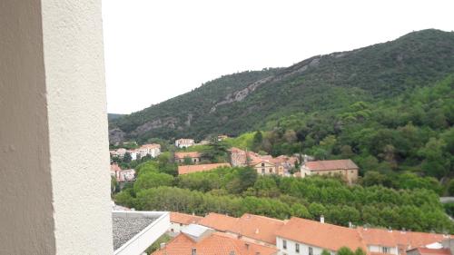 Appartement Studio couleur gai Rue du Parc Amélie-les-Bains-Palalda