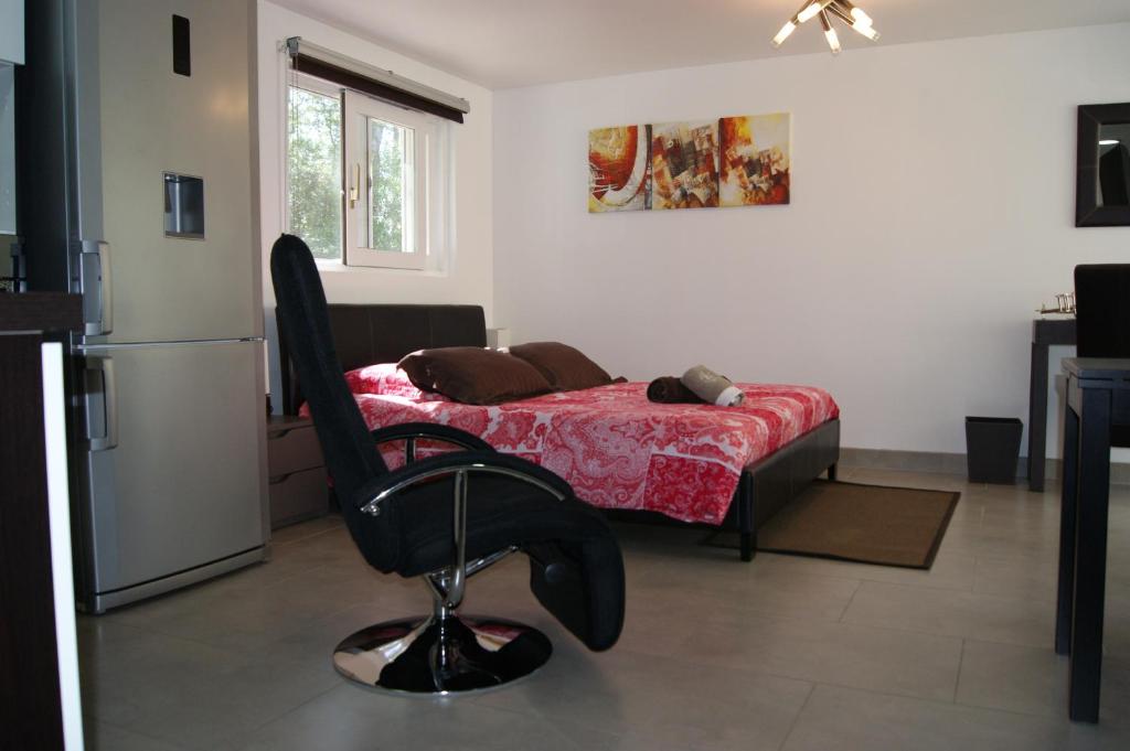 Appartement Studio d'hôtes Villa Castelnau 130 Allée des Grives, 34170 Castelnau-le-Lez