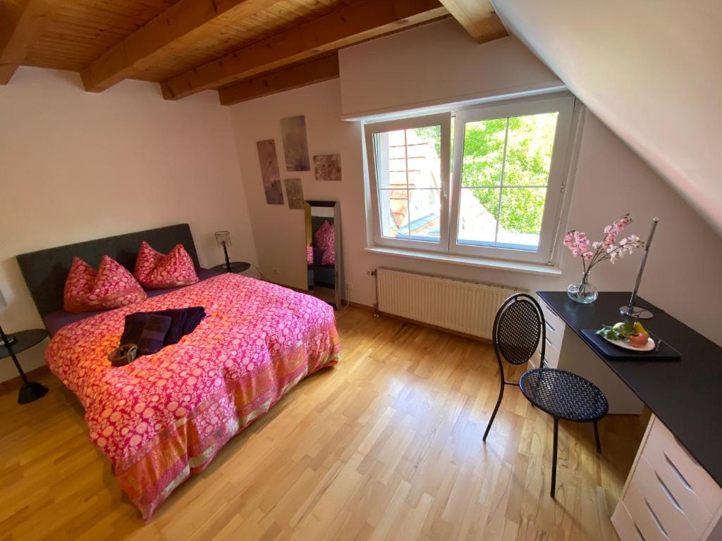 Appartement Studio de la paix 57 Avenue de la Paix, 68490 Chalampé
