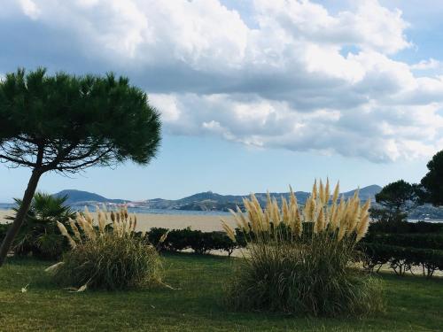 Studio Hameau au soleil Plage dʼArgelès france