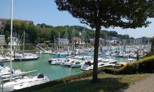 Studio L'orée du port Saint-Valery-en-Caux france