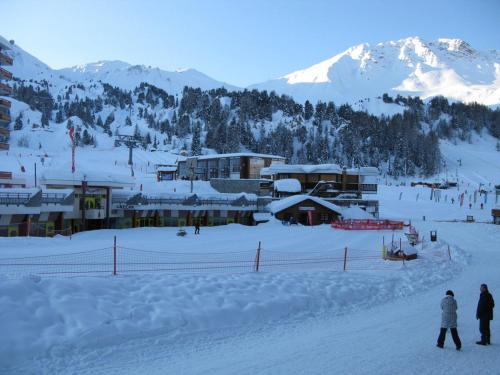 Appartement Studio La Plagne, 1 pièce, 3 personnes - FR-1-455-129 Immeuble Le Plein Sud - Plagne Centre - La Plagne