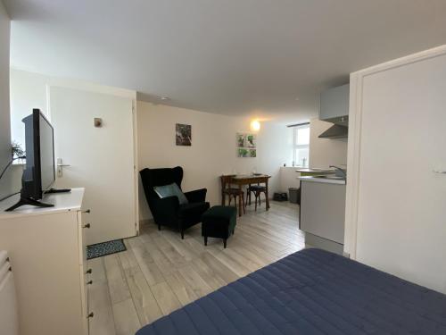 Studio La Roche-Posay, 1 pièce, 1 personne - FR-1-541-95 Falck france