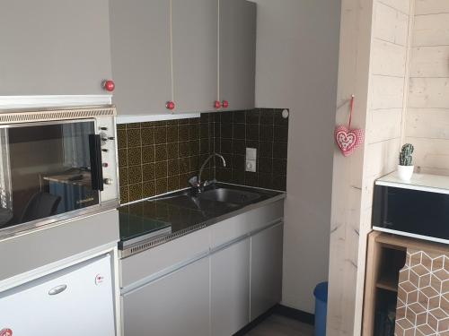 Appartement Studio Les Carroz d'Arâches, 1 pièce, 4 personnes - FR-1-572-218 Impasse des mazots Arâches-la-Frasse