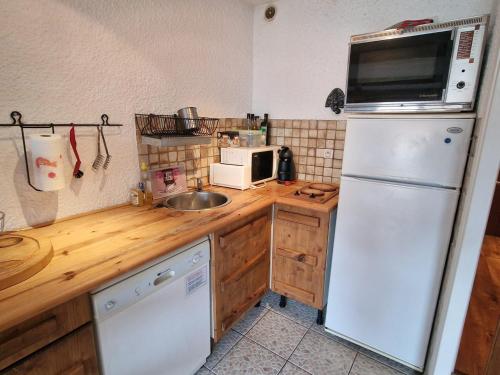 Studio Les Deux Alpes, 1 pièce, 4 personnes - FR-1-516-196 Les Deux Alpes france