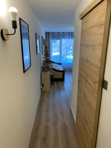 Appartement Studio Les Deux Alpes Résidence l'OLYMPE , appt 1 24 Avenue de la Muzelle Les Deux Alpes