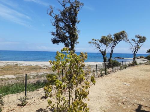 Appartement Studio les pieds dans l'eau vue sur mer résidence marina di bravone Linguizzetta