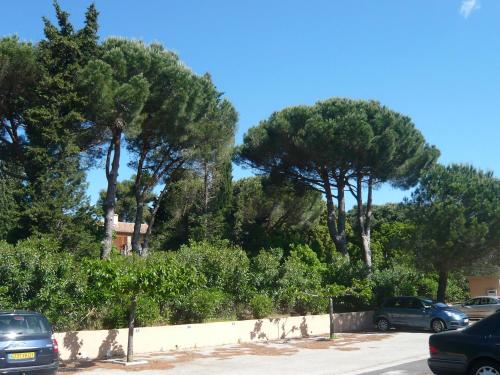 Appartement Studio Les Vignes  Cavalaire-sur-Mer